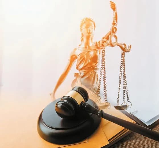 [로펌] 공정거래·경영권 분쟁·부동산…법률 서비스 전문성 강화로 승부수